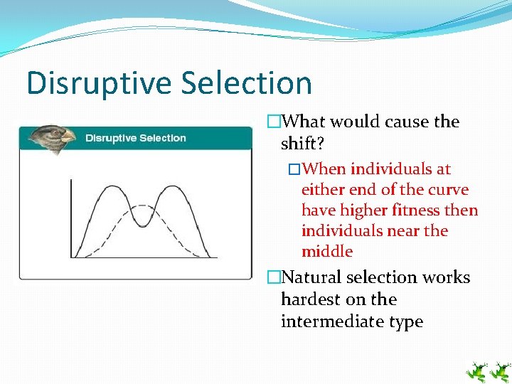 Disruptive Selection �What would cause the shift? �When individuals at either end of the