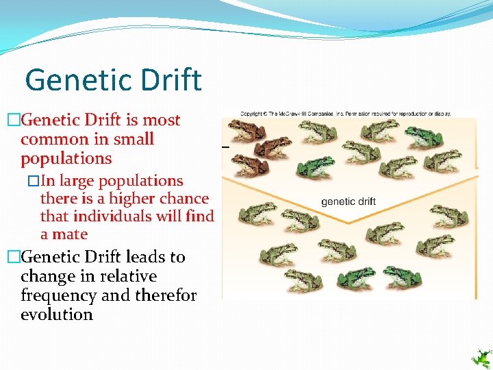 Genetic Drift �Genetic Drift is most common in small populations �In large populations there