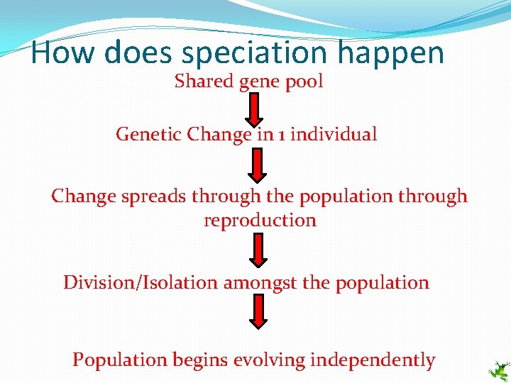 How does speciation happen Shared gene pool Genetic Change in 1 individual Change spreads
