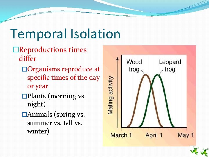 Temporal Isolation �Reproductions times differ �Organisms reproduce at specific times of the day or