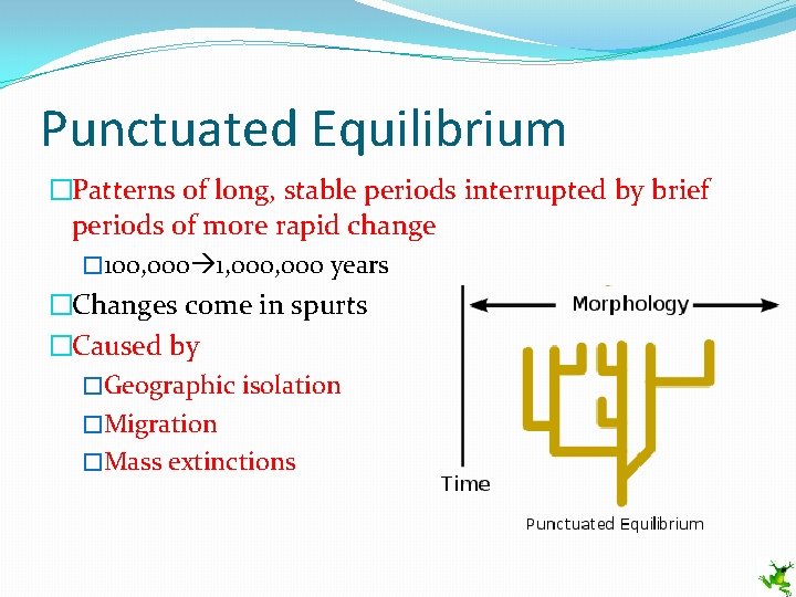 Punctuated Equilibrium �Patterns of long, stable periods interrupted by brief periods of more rapid