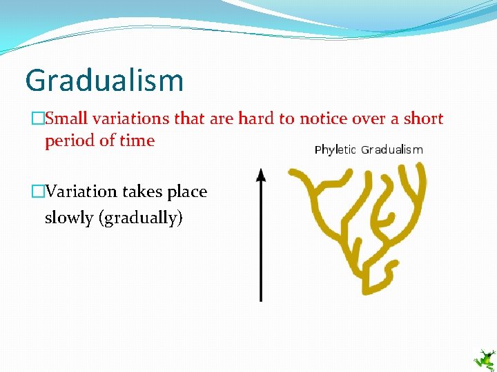 Gradualism �Small variations that are hard to notice over a short period of time