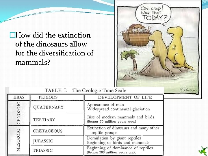 �How did the extinction of the dinosaurs allow for the diversification of mammals? 