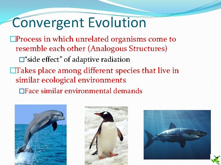 Convergent Evolution �Process in which unrelated organisms come to resemble each other (Analogous Structures)