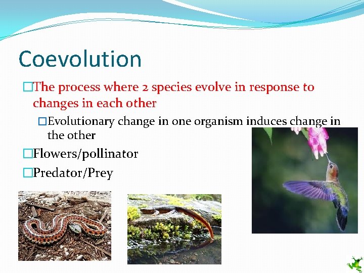 Coevolution �The process where 2 species evolve in response to changes in each other