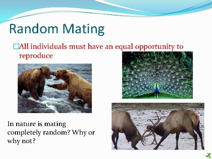 Random Mating �All individuals must have an equal opportunity to reproduce In nature is