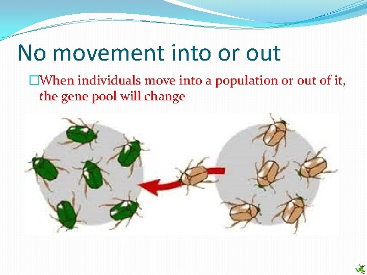 No movement into or out �When individuals move into a population or out of