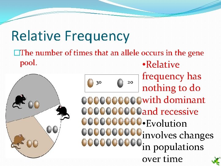 Relative Frequency �The number of times that an allele occurs in the gene pool.