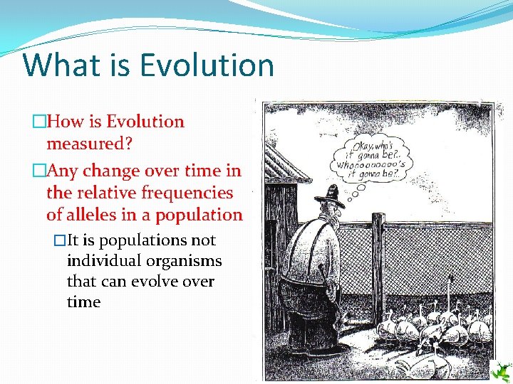 What is Evolution �How is Evolution measured? �Any change over time in the relative