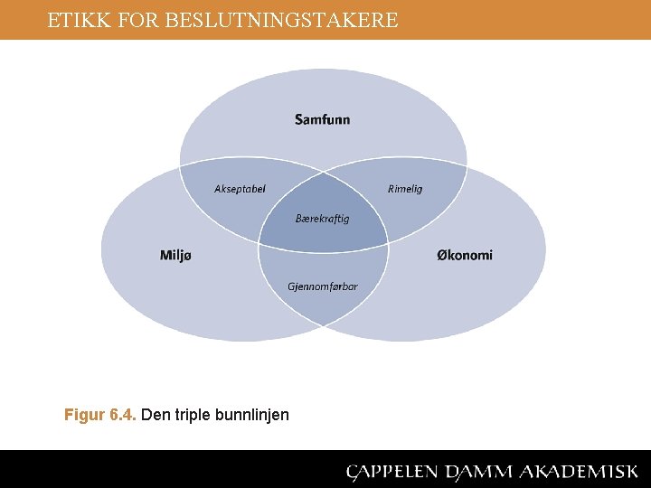 ETIKK FOR BESLUTNINGSTAKERE Figur 6. 4. Den triple bunnlinjen 