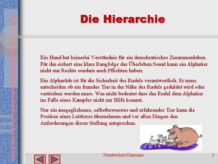 Die Hierarchie Ein Hund hat keinerlei Verständnis für ein demokratisches Zusammenleben. Für ihn sichert