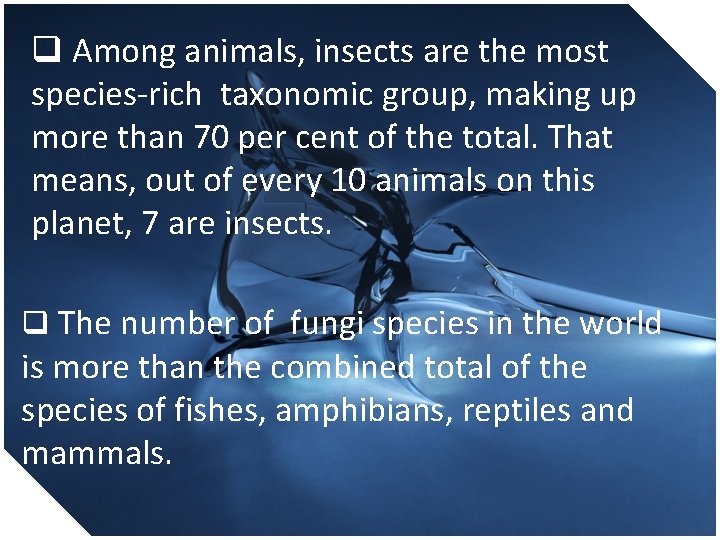 q Among animals, insects are the most species-rich taxonomic group, making up more than