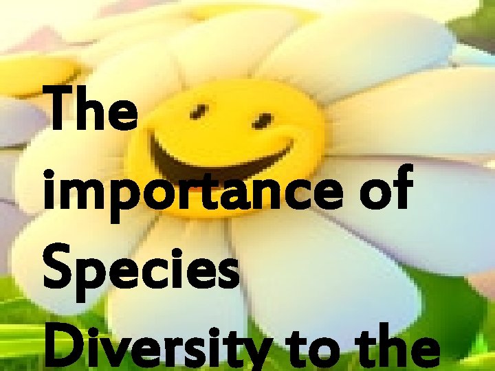 The importance of Species Diversity to the 