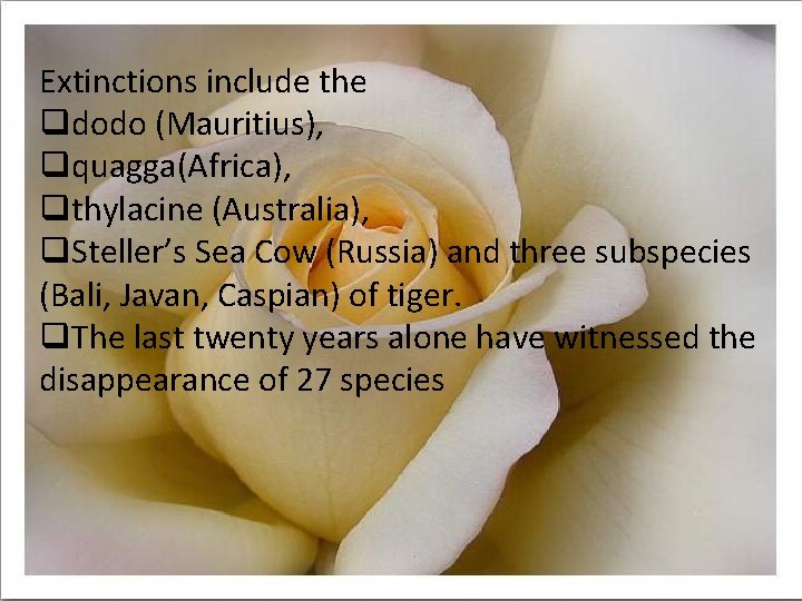 qextinctions include the Extinctions include the qdodo (Mauritius), qq quagga(Africa), qthylacine (Australia), thylacine qq