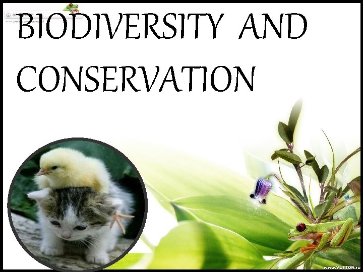 BIODIVERSITY AND CONSERVATION 