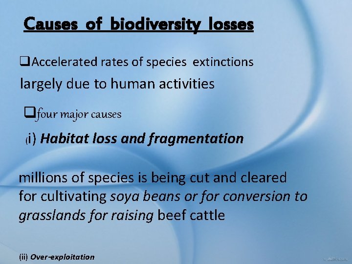 Causes of biodiversity losses q. Accelerated rates of species extinctions largely due to human