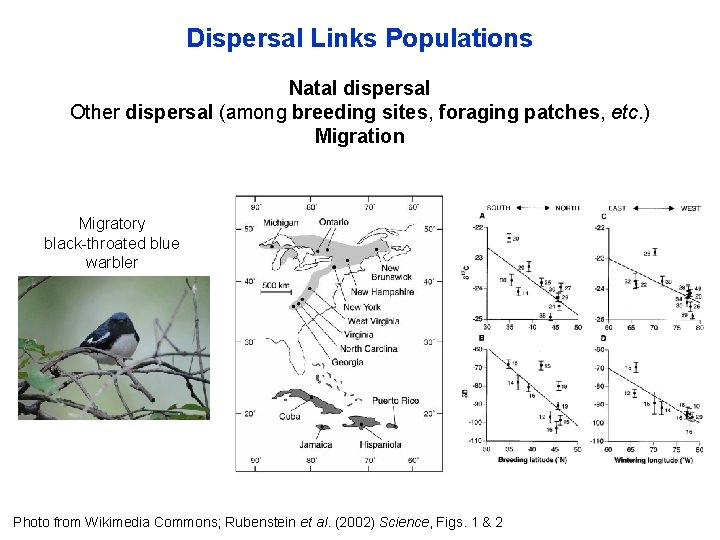 Dispersal Links Populations Natal dispersal Other dispersal (among breeding sites, foraging patches, etc. )