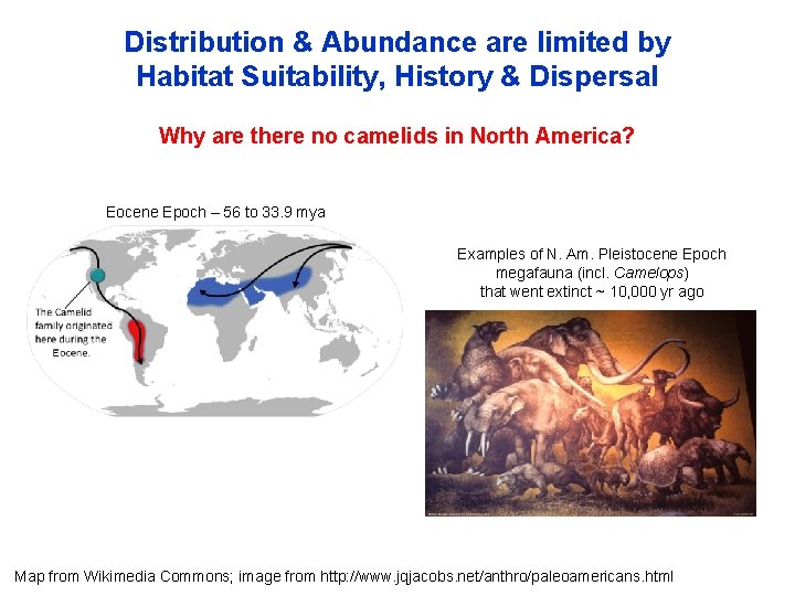 Distribution & Abundance are limited by Habitat Suitability, History & Dispersal Why are there