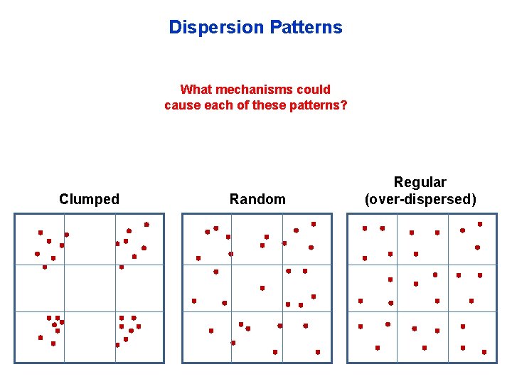 Dispersion Patterns What mechanisms could cause each of these patterns? Clumped Random Regular (over-dispersed)