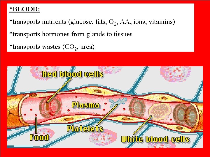 *BLOOD: *transports nutrients (glucose, fats, O 2, AA, ions, vitamins) *transports hormones from glands