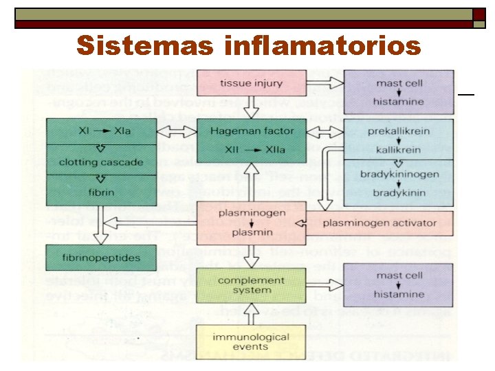 Sistemas inflamatorios 