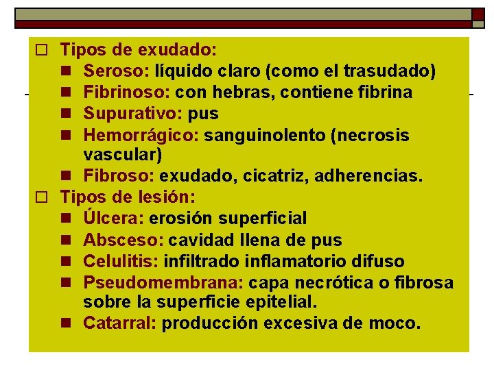 o Tipos de exudado: n Seroso: líquido claro (como el trasudado) n Fibrinoso: con