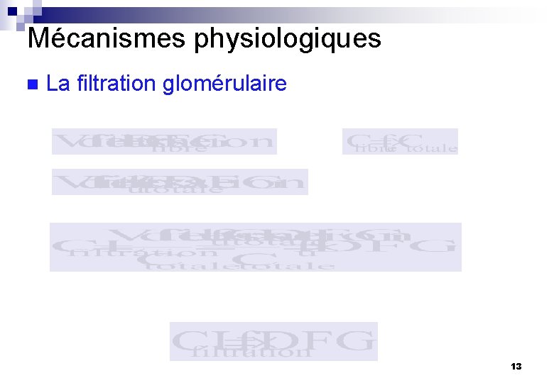 Mécanismes physiologiques n La filtration glomérulaire 13 