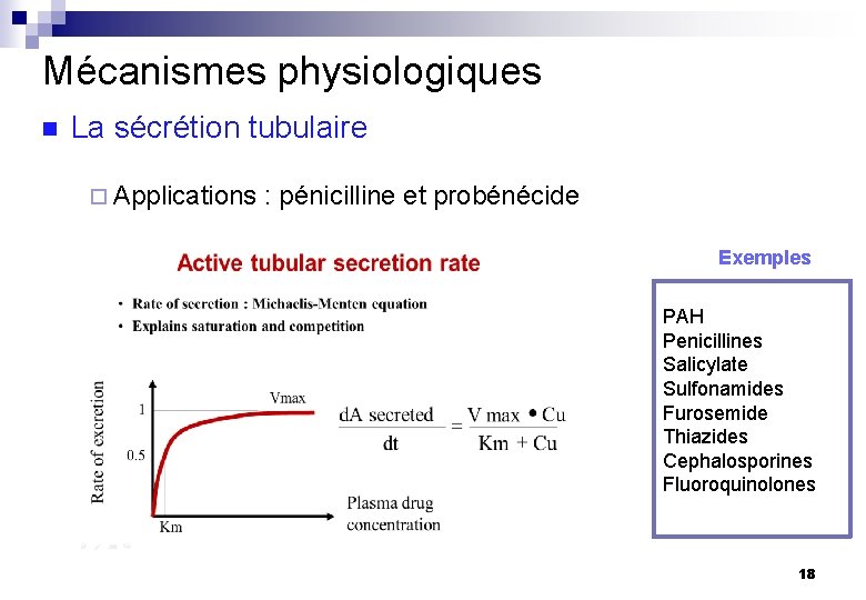 Mécanismes physiologiques n La sécrétion tubulaire ¨ Applications : pénicilline et probénécide Exemples PAH