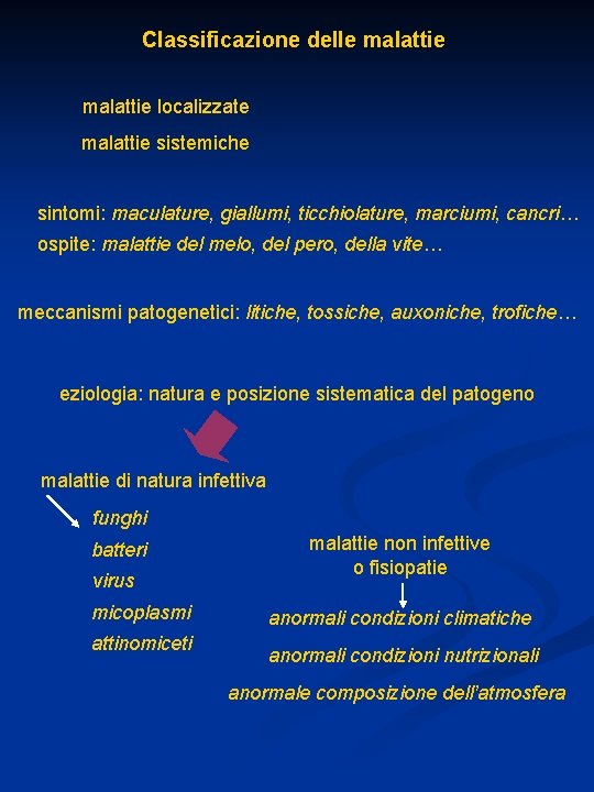 Classificazione delle malattie localizzate malattie sistemiche sintomi: maculature, giallumi, ticchiolature, marciumi, cancri… ospite: malattie