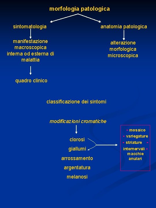 morfologia patologica sintomatologia anatomia patologica manifestazione macroscopica interna od esterna di malattia alterazione morfologica