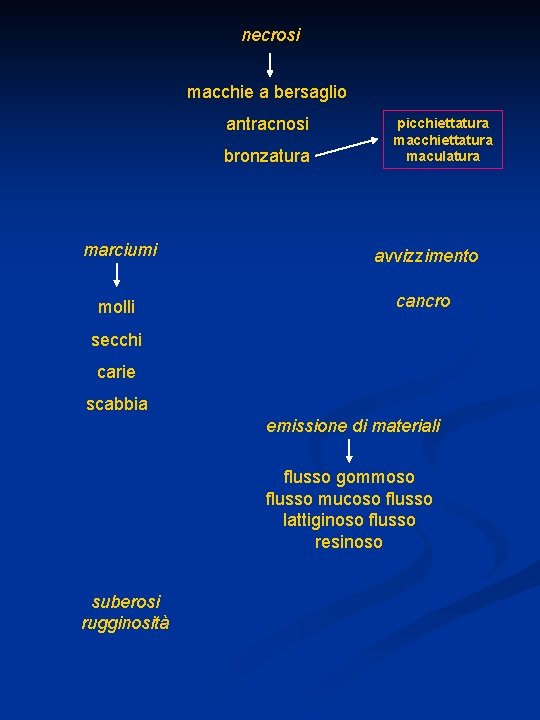 necrosi macchie a bersaglio antracnosi bronzatura picchiettatura maculatura marciumi avvizzimento molli cancro secchi carie