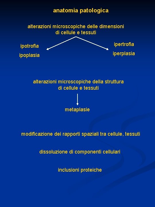 anatomia patologica alterazioni microscopiche delle dimensioni di cellule e tessuti ipotrofia ipertrofia ipoplasia iperplasia