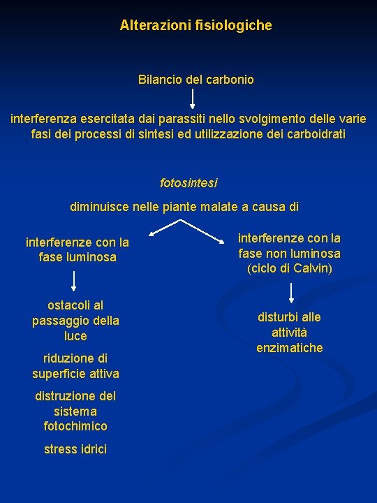 Alterazioni fisiologiche Bilancio del carbonio interferenza esercitata dai parassiti nello svolgimento delle varie fasi