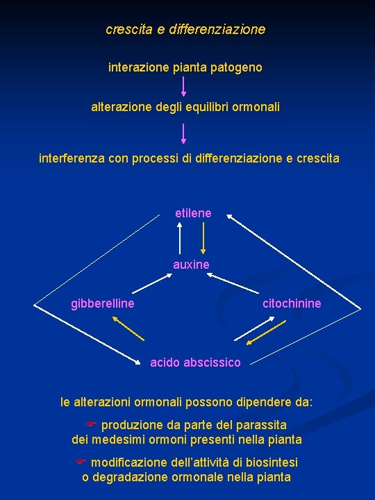 crescita e differenziazione interazione pianta patogeno alterazione degli equilibri ormonali interferenza con processi di