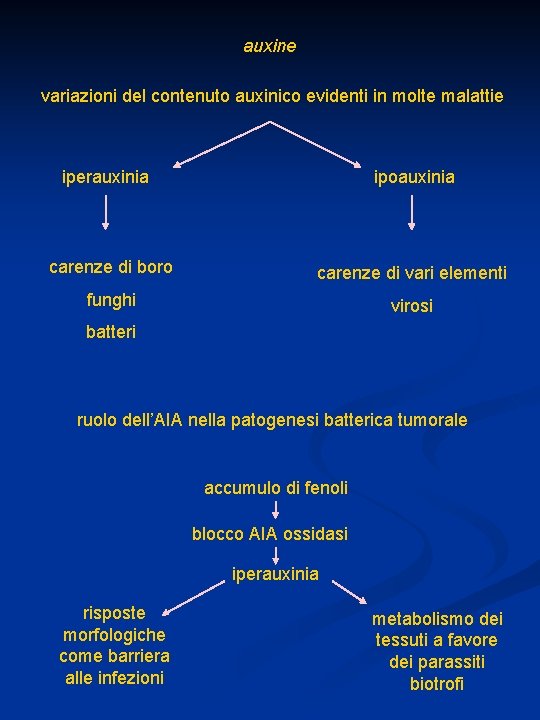 auxine variazioni del contenuto auxinico evidenti in molte malattie iperauxinia ipoauxinia carenze di boro