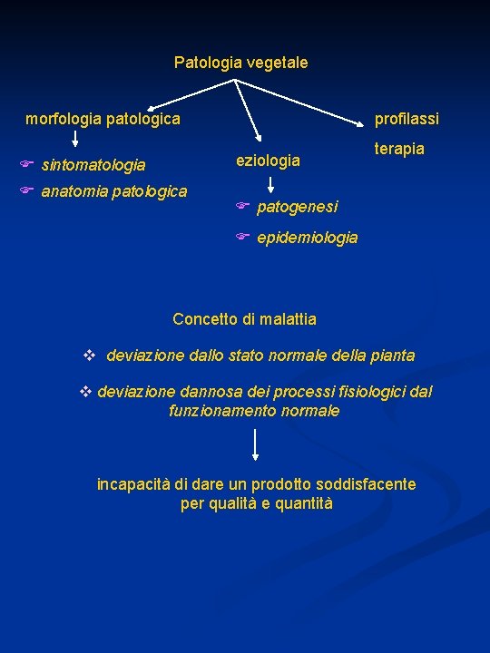 Patologia vegetale morfologia patologica profilassi eziologia sintomatologia anatomia patologica terapia patogenesi epidemiologia Concetto di