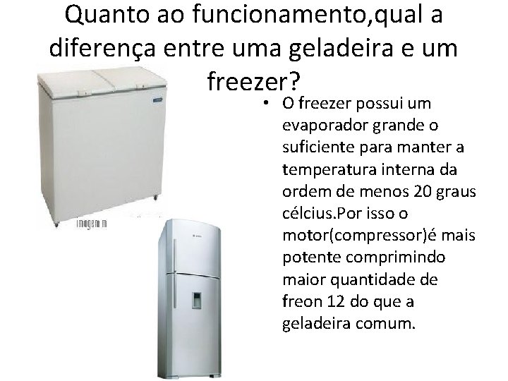 Quanto ao funcionamento, qual a diferença entre uma geladeira e um freezer? • O