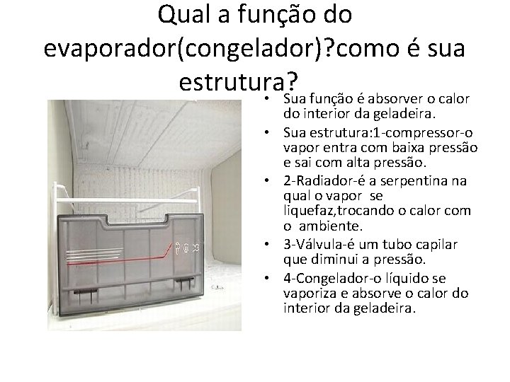 Qual a função do evaporador(congelador)? como é sua estrutura? • Sua função é absorver