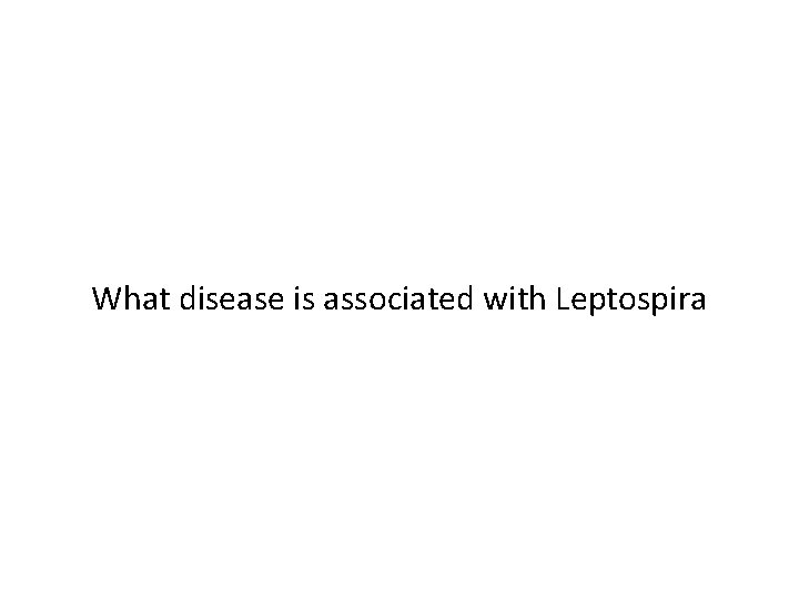 What disease is associated with Leptospira 