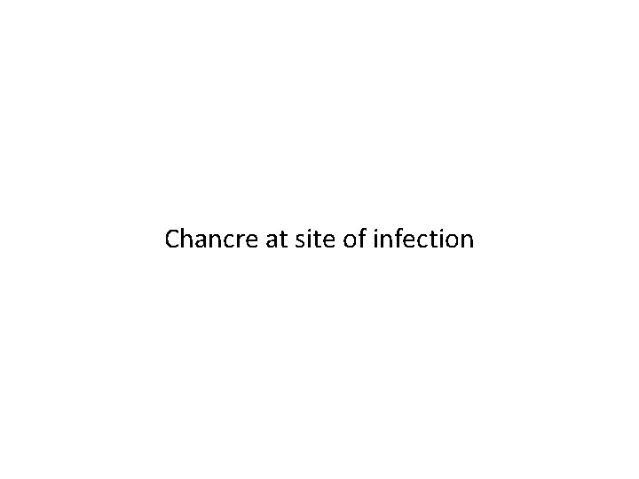 Chancre at site of infection 