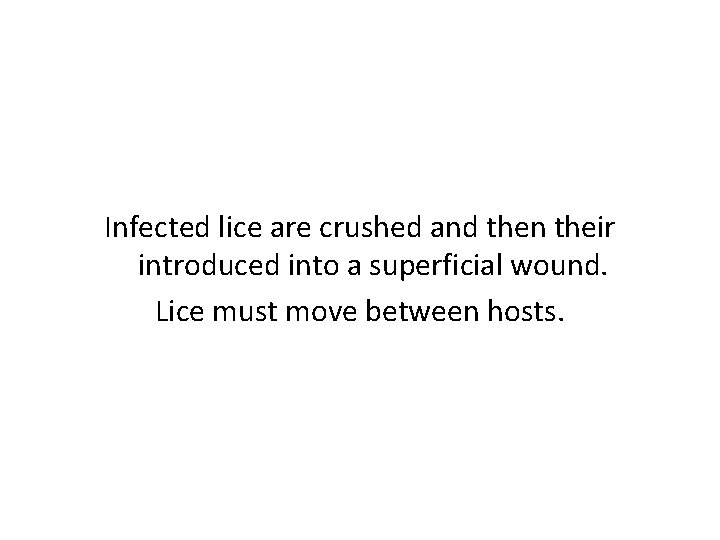 Infected lice are crushed and then their introduced into a superficial wound. Lice must