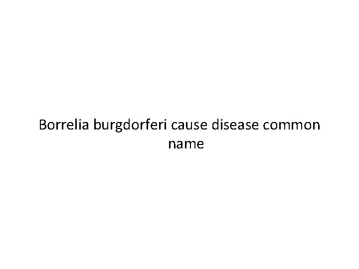 Borrelia burgdorferi cause disease common name 