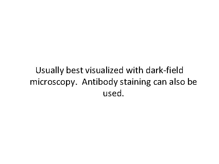 Usually best visualized with dark-field microscopy. Antibody staining can also be used. 