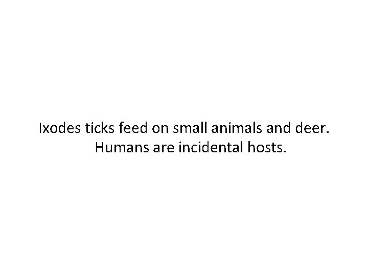 Ixodes ticks feed on small animals and deer. Humans are incidental hosts. 