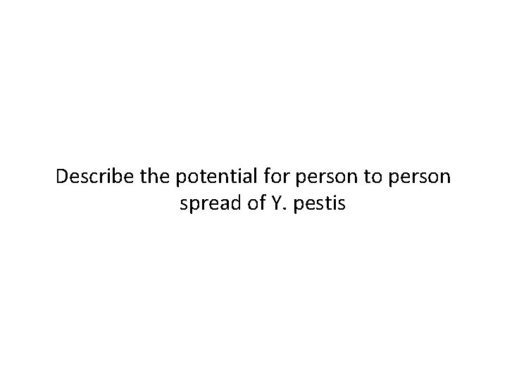 Describe the potential for person to person spread of Y. pestis 