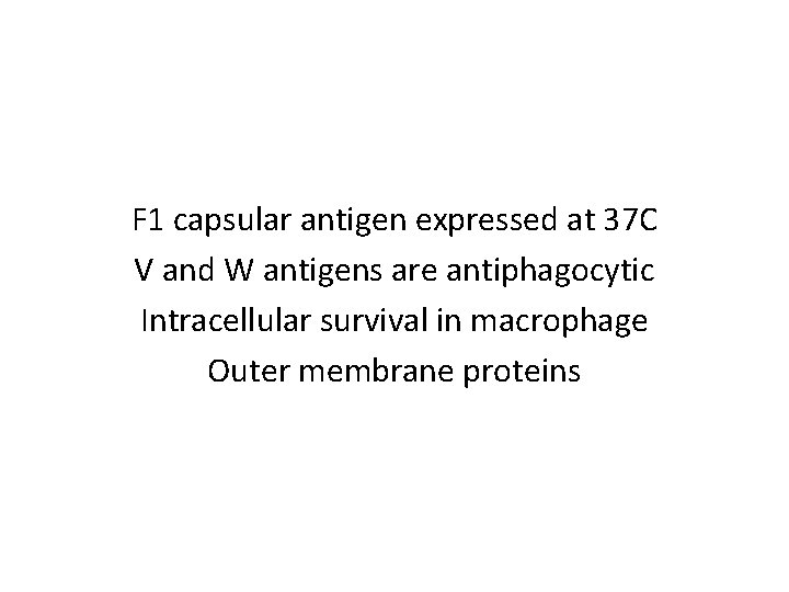 F 1 capsular antigen expressed at 37 C V and W antigens are antiphagocytic