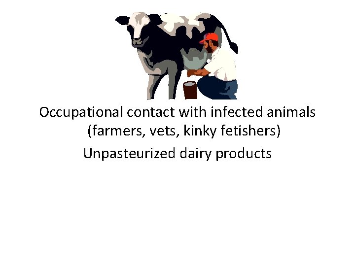 Occupational contact with infected animals (farmers, vets, kinky fetishers) Unpasteurized dairy products 