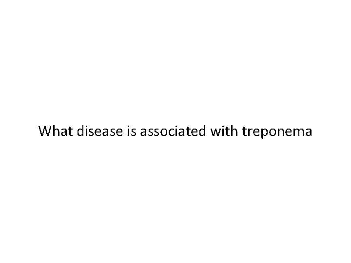 What disease is associated with treponema 