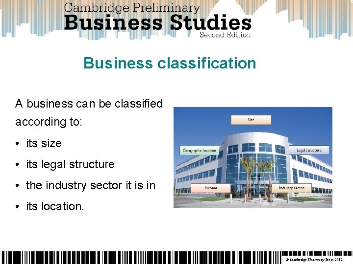 Business classification A business can be classified according to: • its size • its
