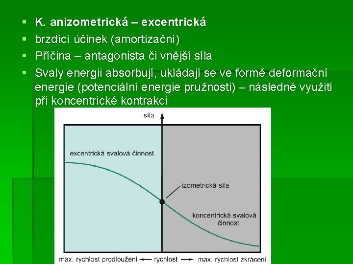 § § K. anizometrická – excentrická brzdící účinek (amortizační) Příčina – antagonista či vnější